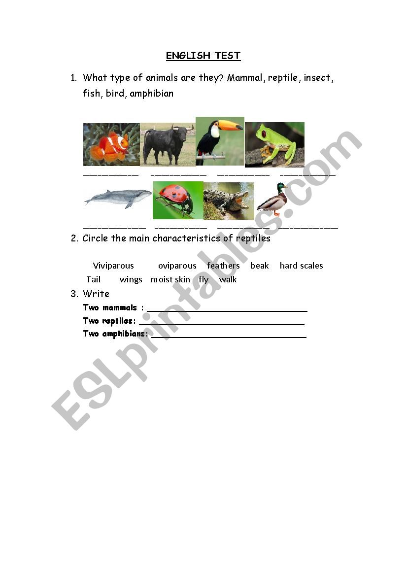 ANIMALS worksheet