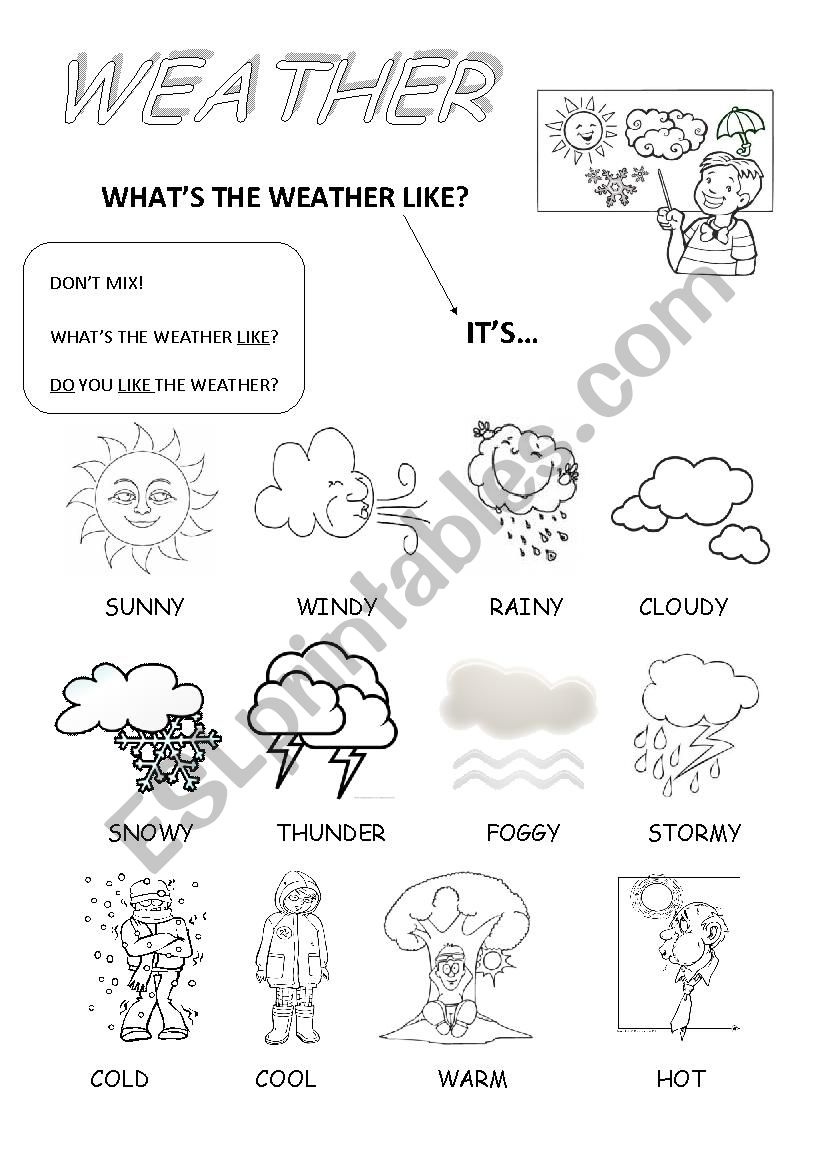 Weather worksheet