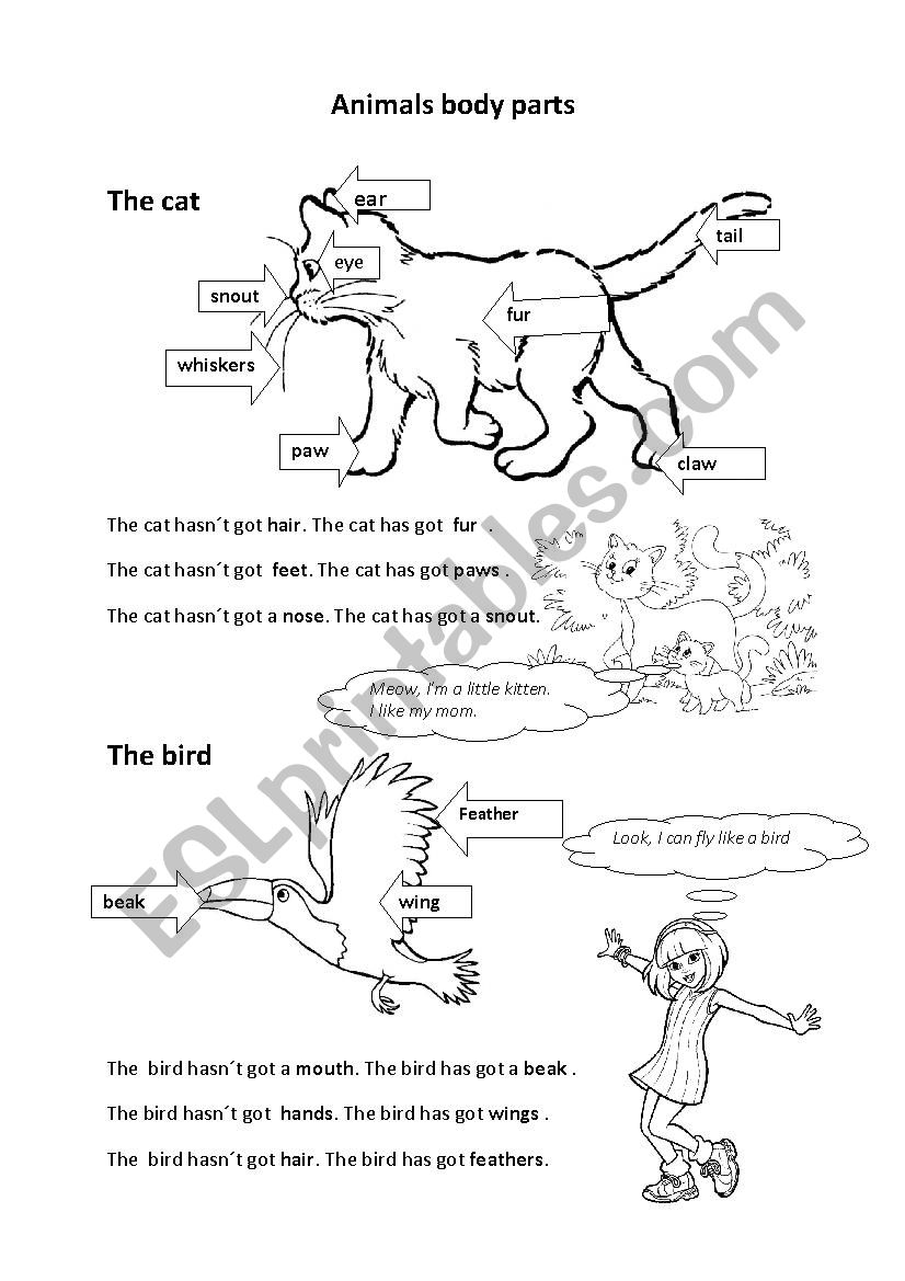 Animals body parts worksheet