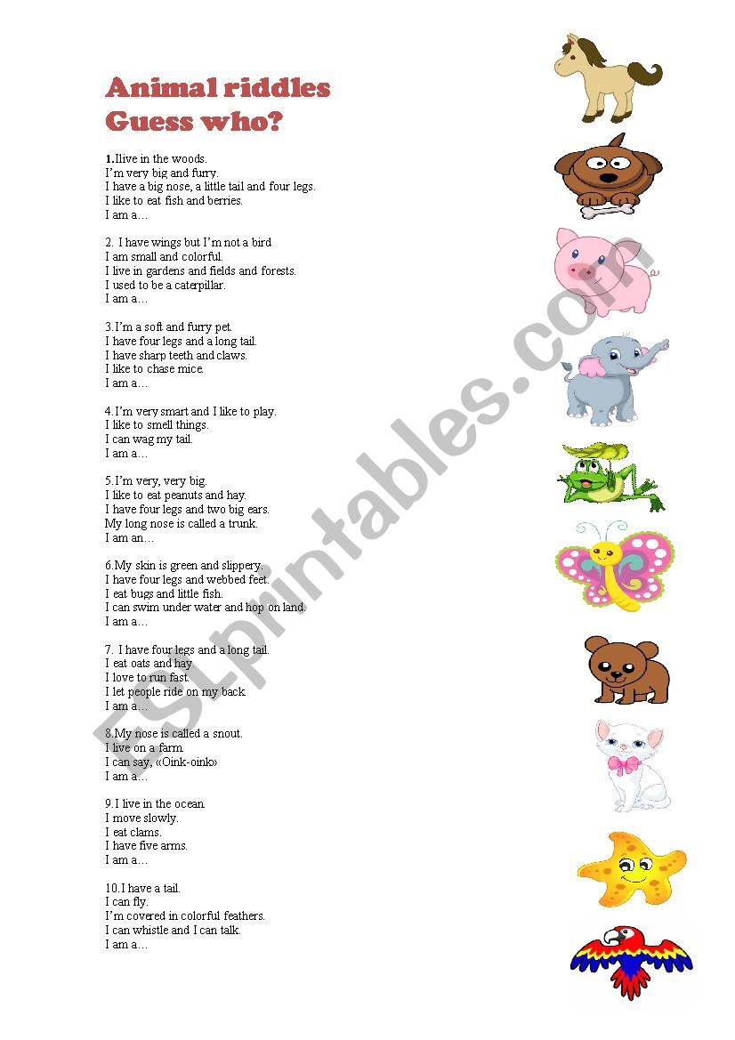 Animal riddles worksheet