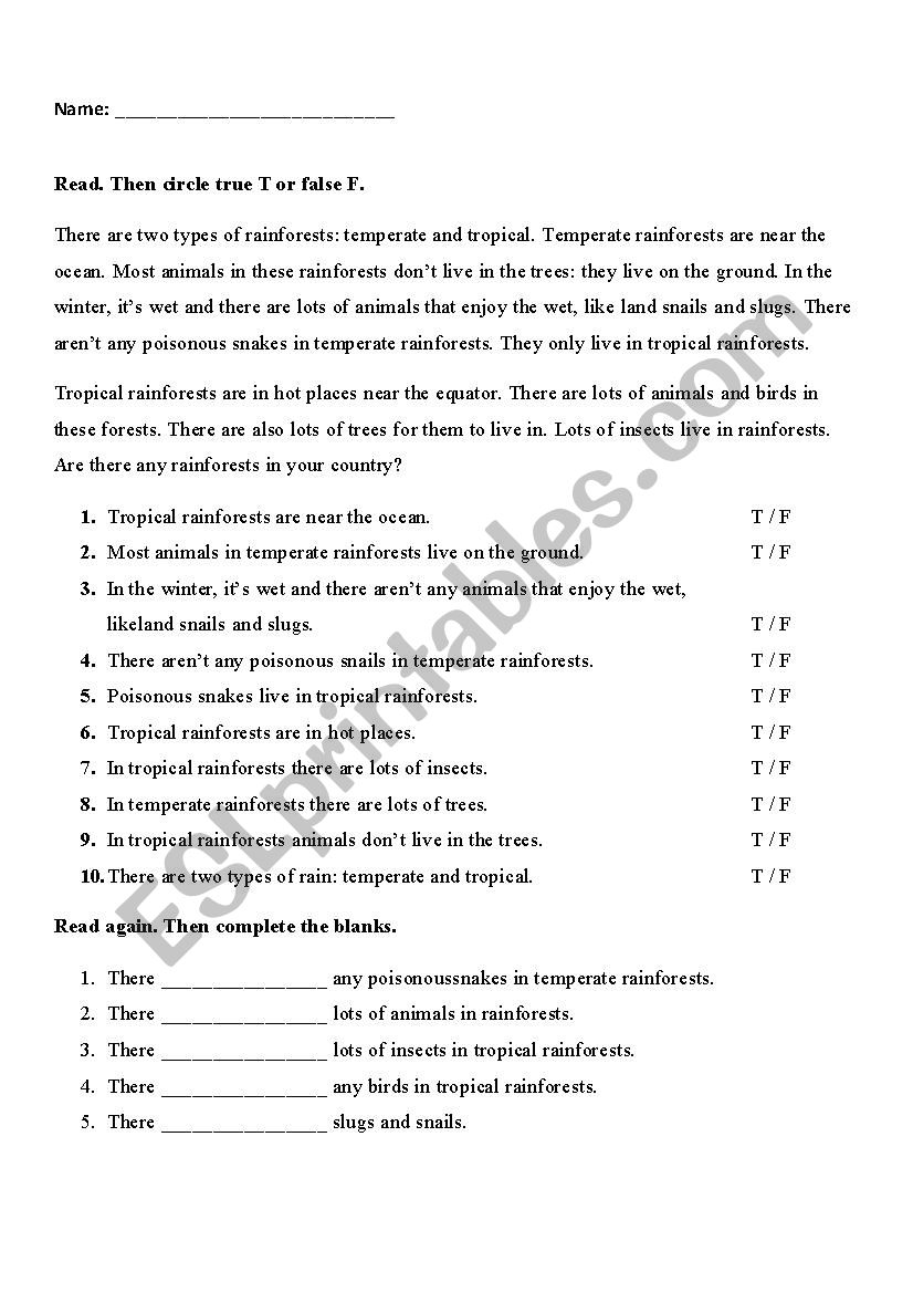  The rainforest  worksheet