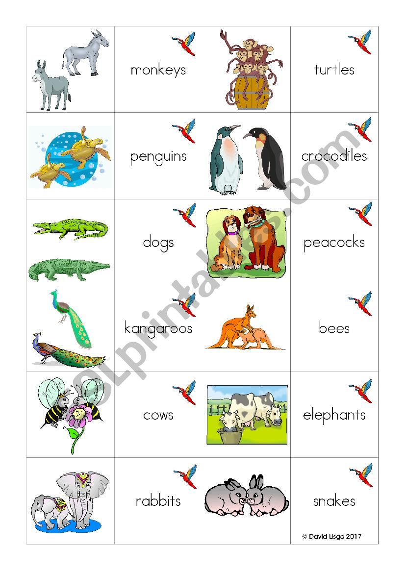 Plural S loopcards worksheet