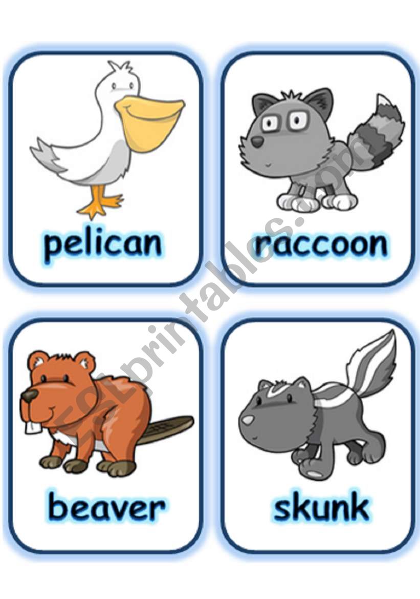 FLASHCARD SET 4- OTHER ANIMALS - PART 1