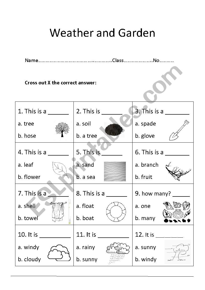 Weather and Garden worksheet