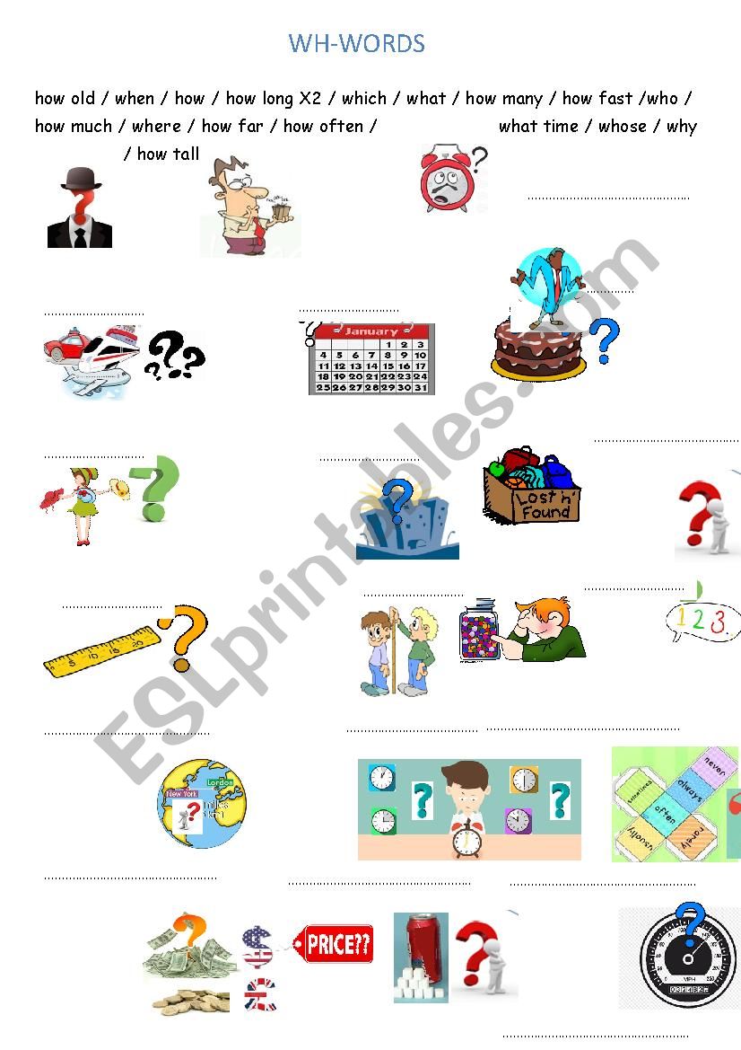 WH-words /question words revision worksheet