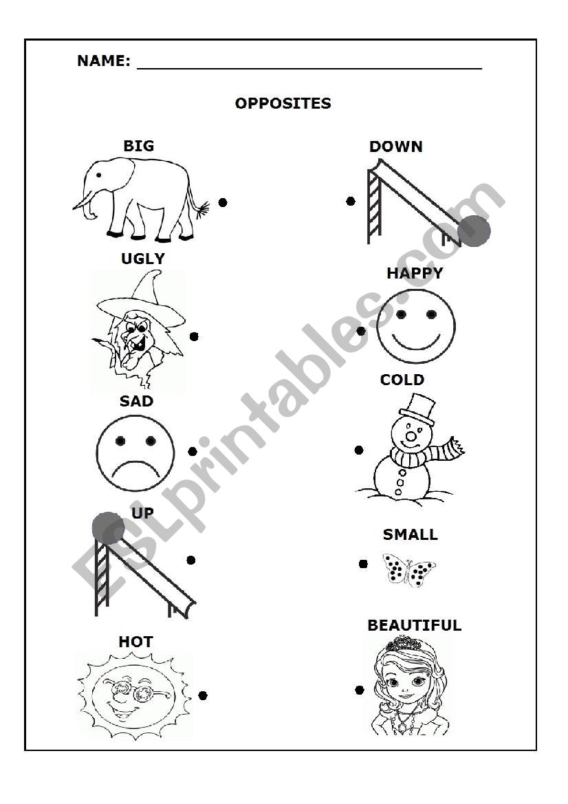 Match the Opposites worksheet