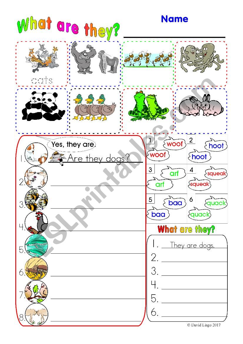 Plurals Worksheet with answer key