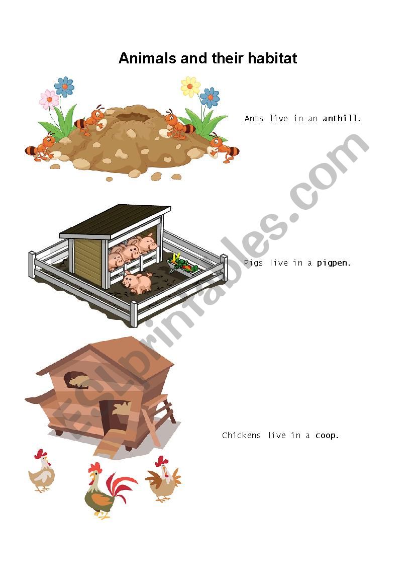 animals and their habitat worksheet