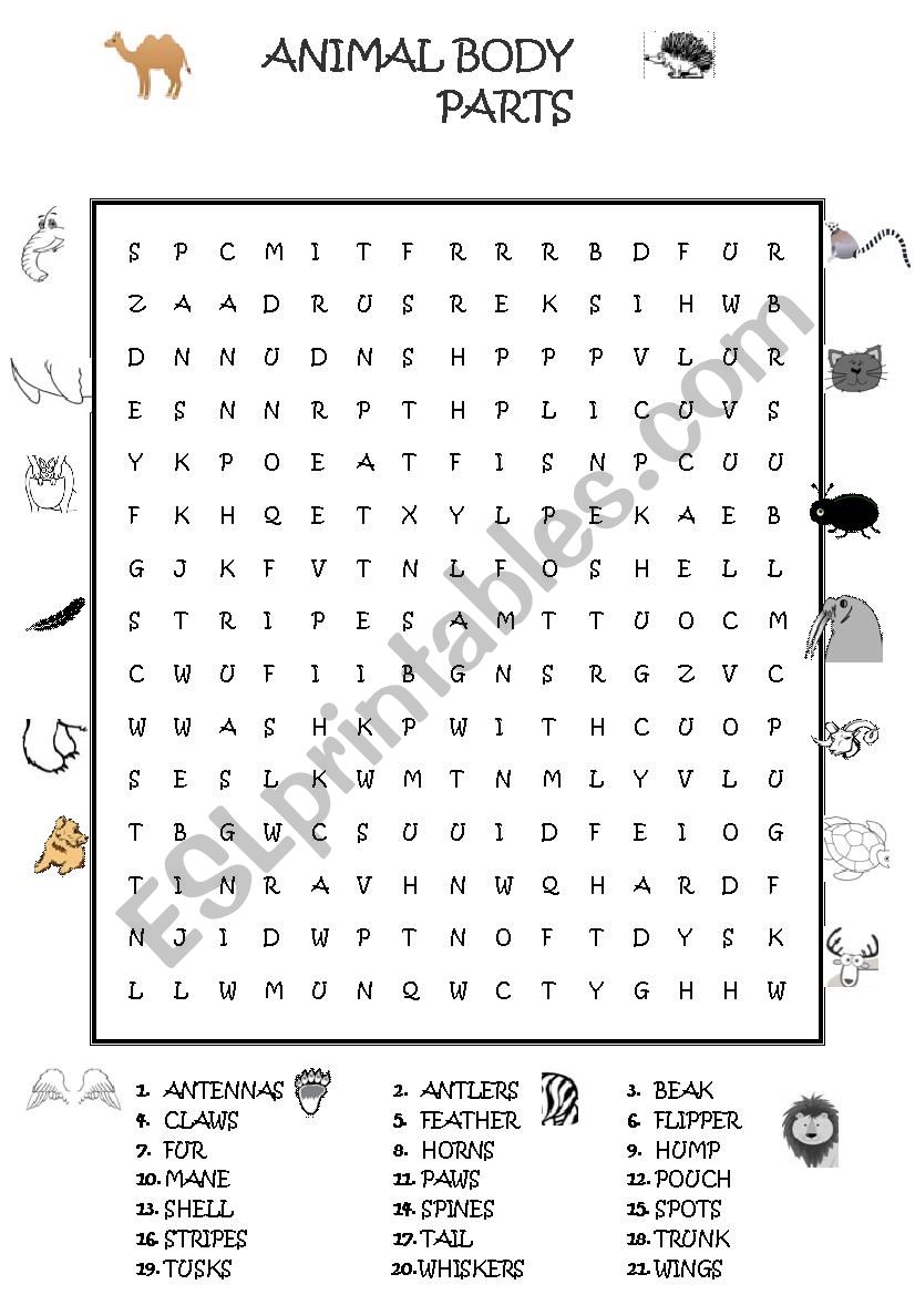 ANIMAL BODY PARTS WORDSEARCH worksheet