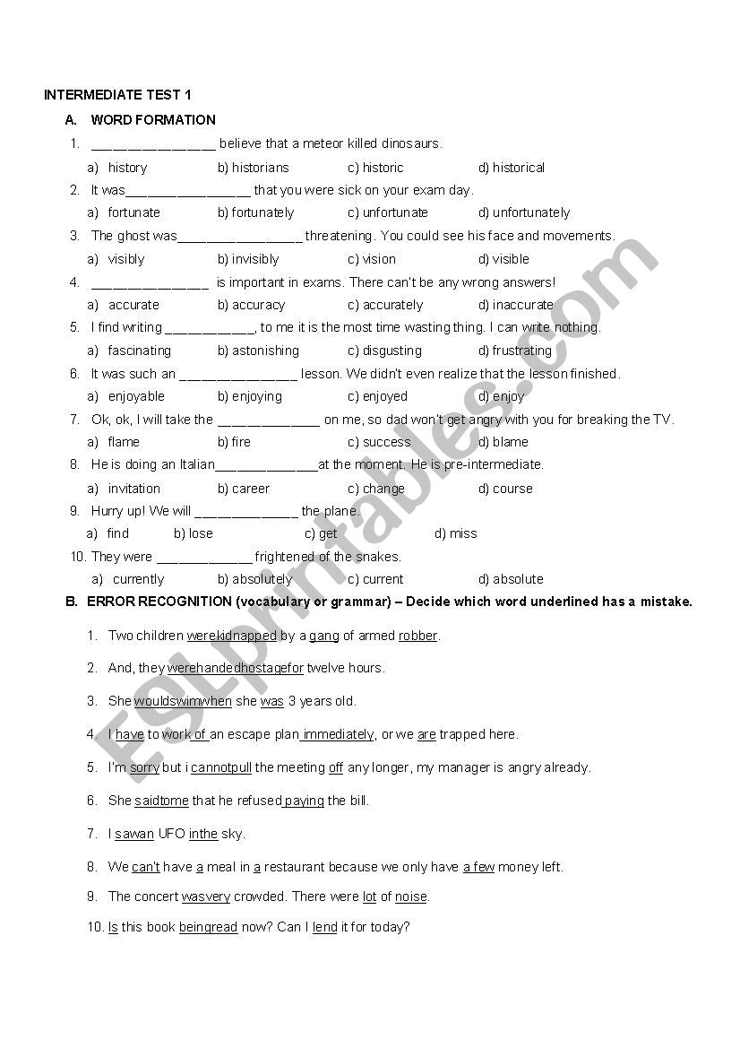 Intermediate Level Test worksheet