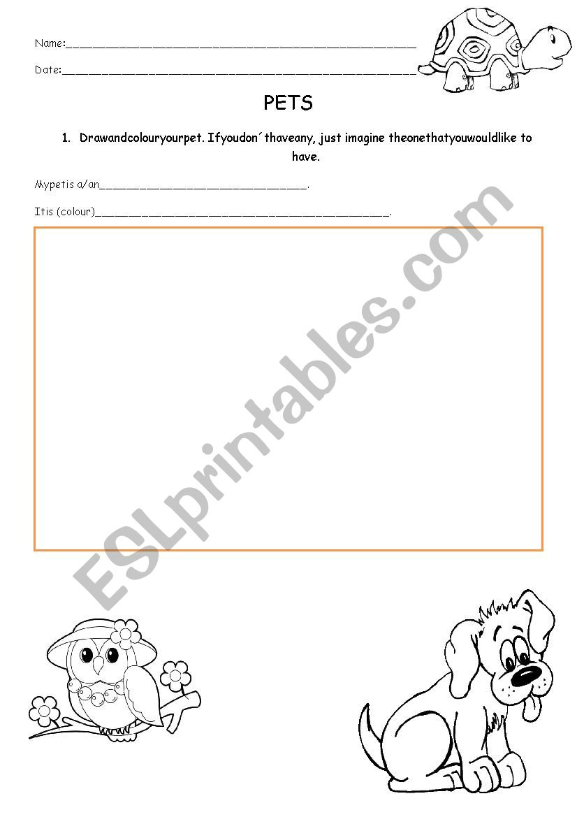 My pet worksheet