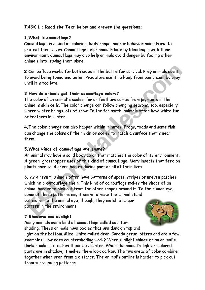 Camouflage - ESL worksheet by Leom Camouflage - ESL worksheet by Leom