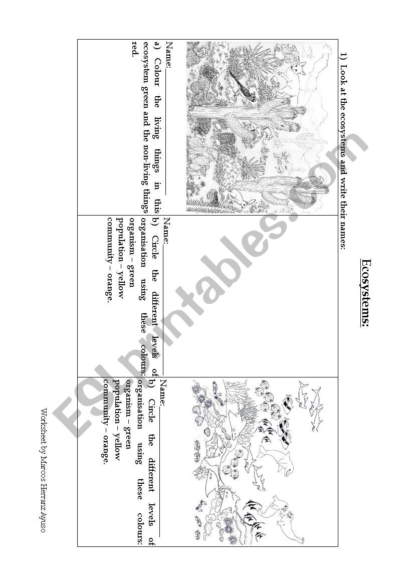 Ecosystems practice worksheet