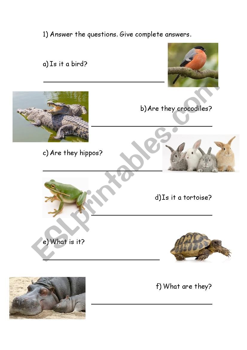 Animals worksheet