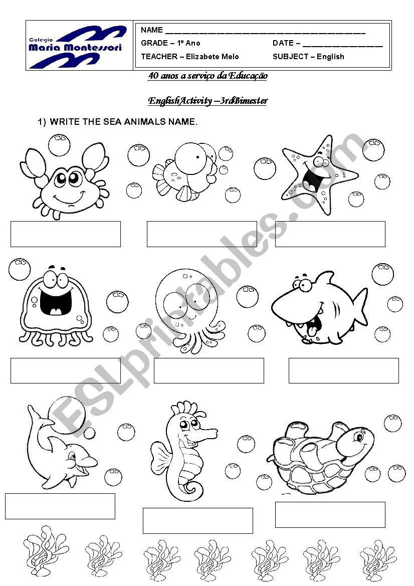 Sea Animals worksheet