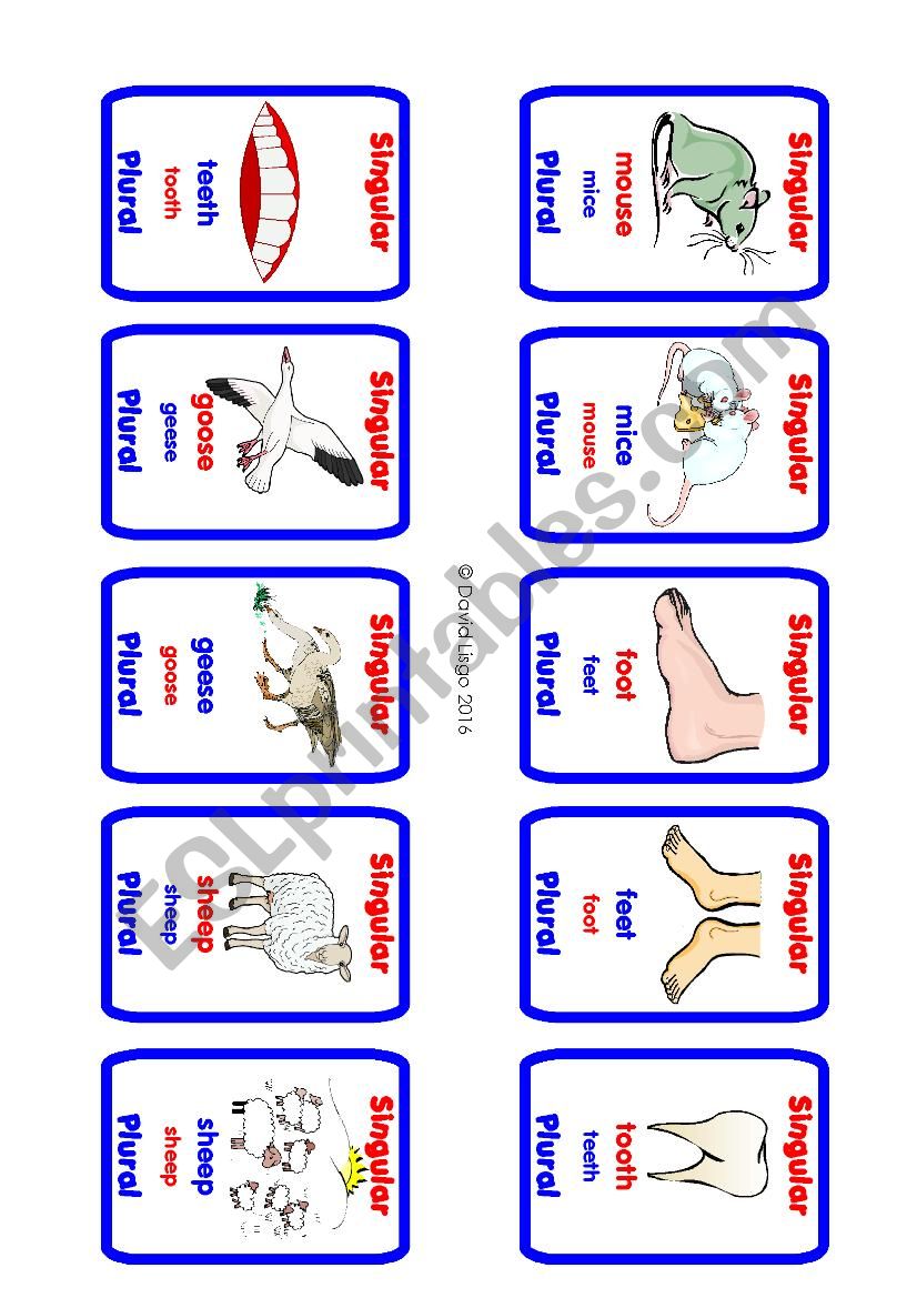 Plurals Go Fish! Game Cards 1-40 (of 70)