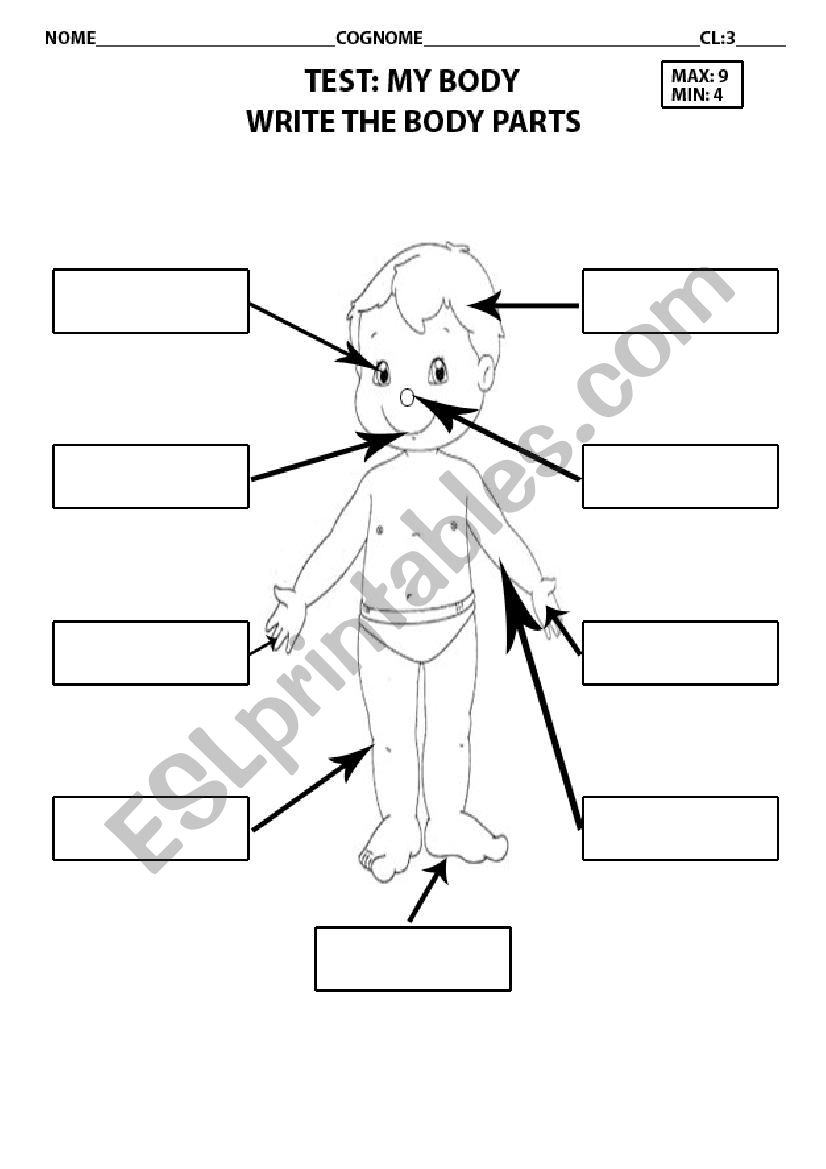 Body parts worksheet