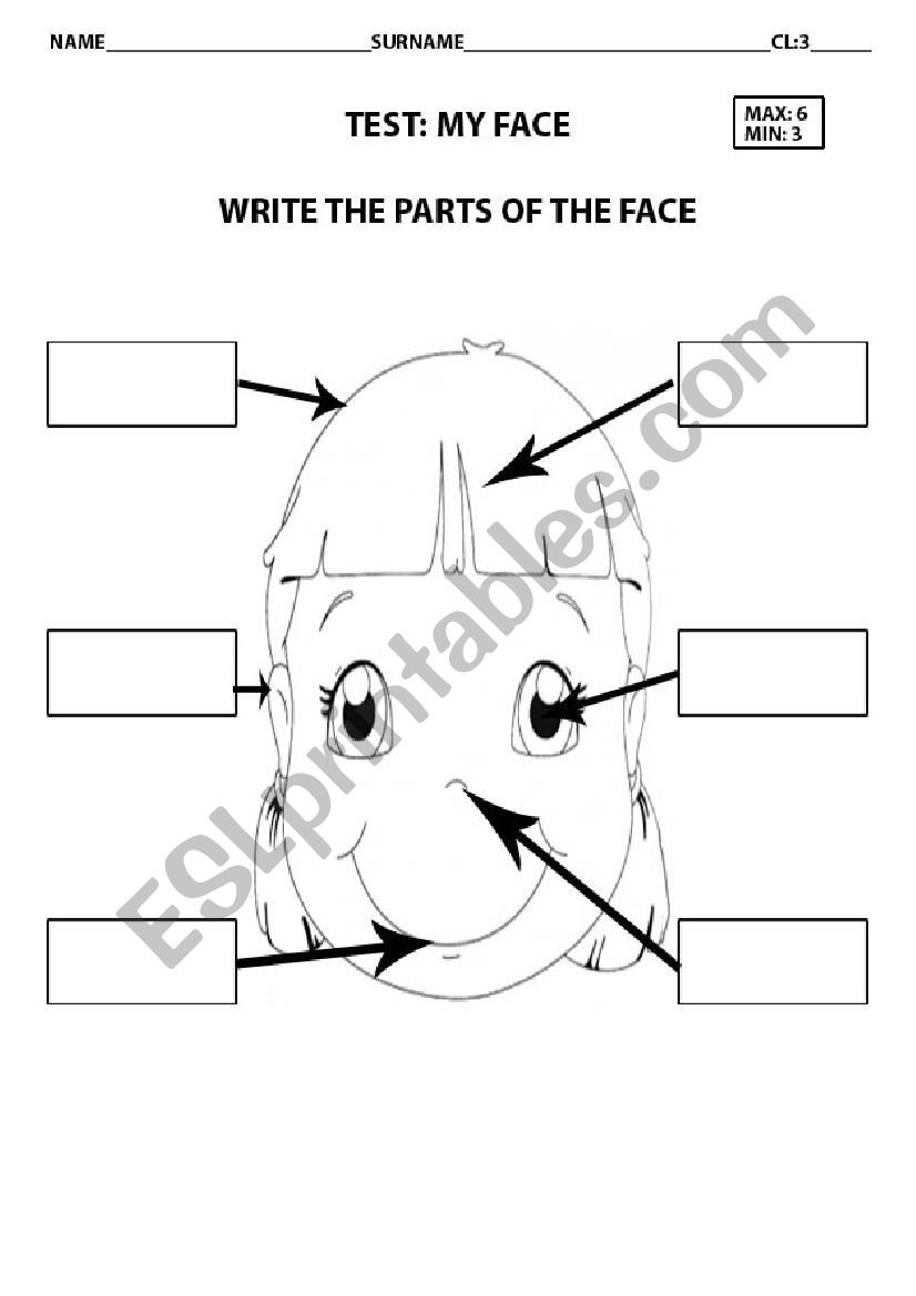 My face worksheet