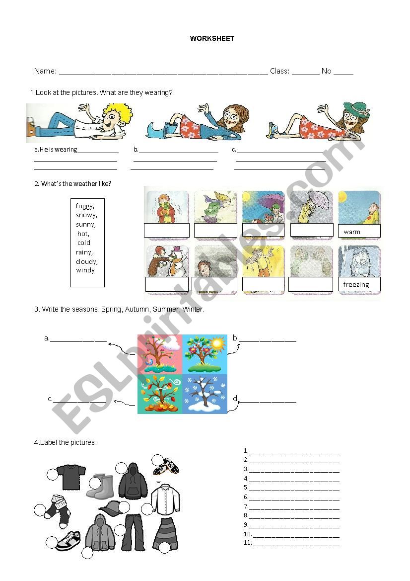 present simple worksheet