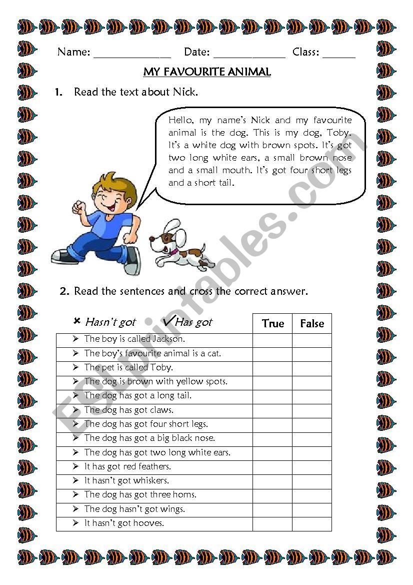 My favourite animal worksheet