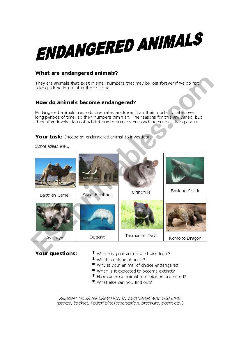 Endangered Animals worksheet