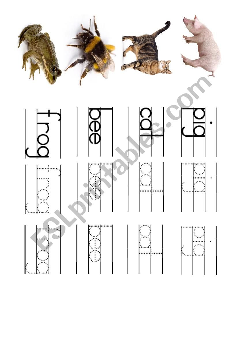 Animal handwriting worksheet