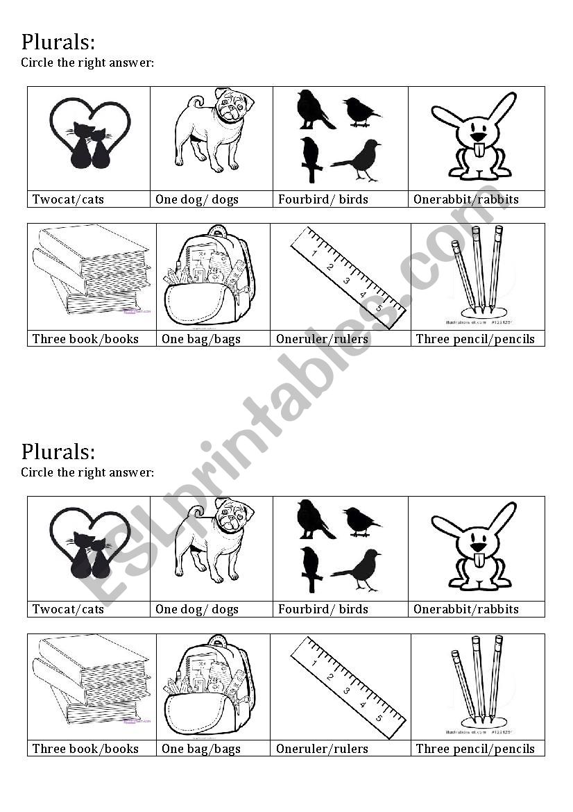 plurals worksheet