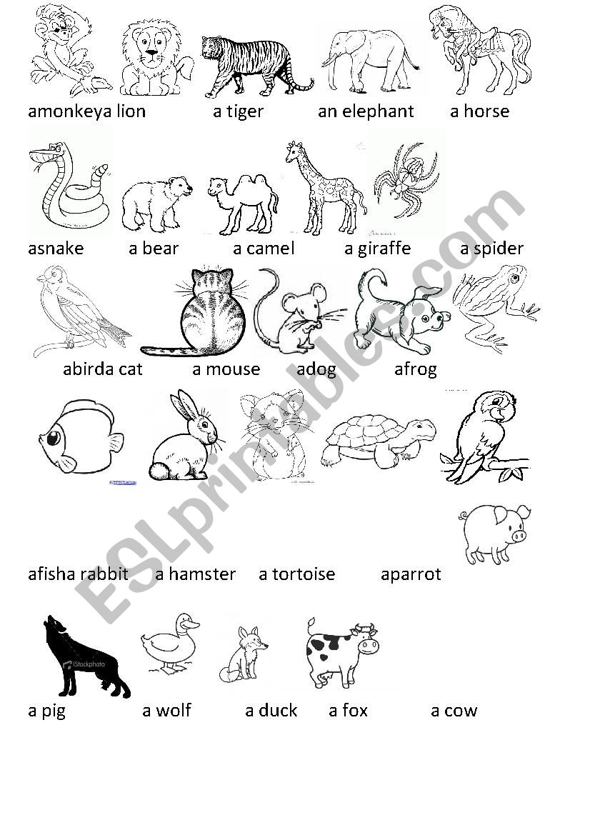 animals worksheet