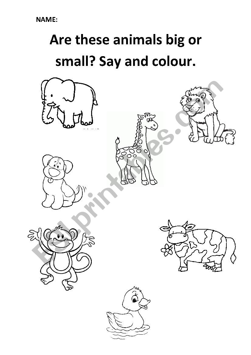 Big or Small? worksheet