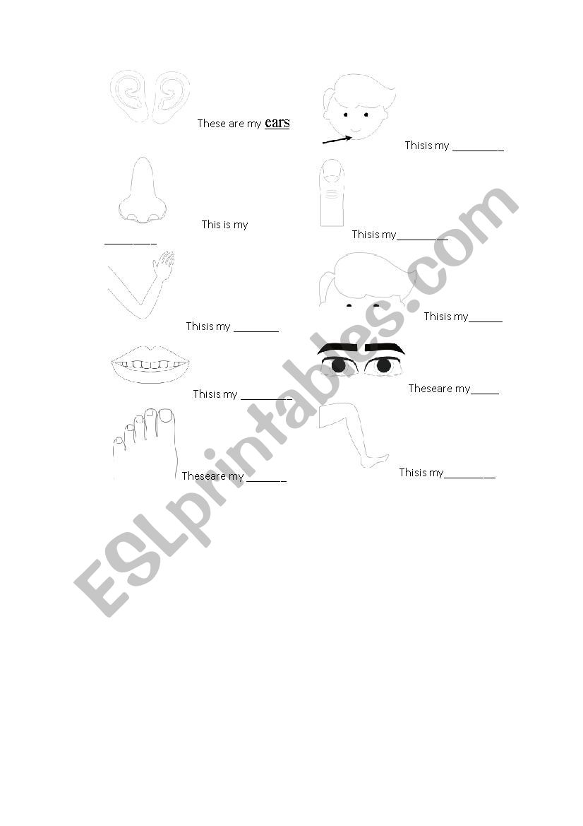 Body part worksheet