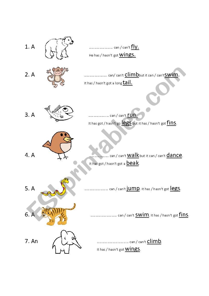 Animals can and action verbs worksheet