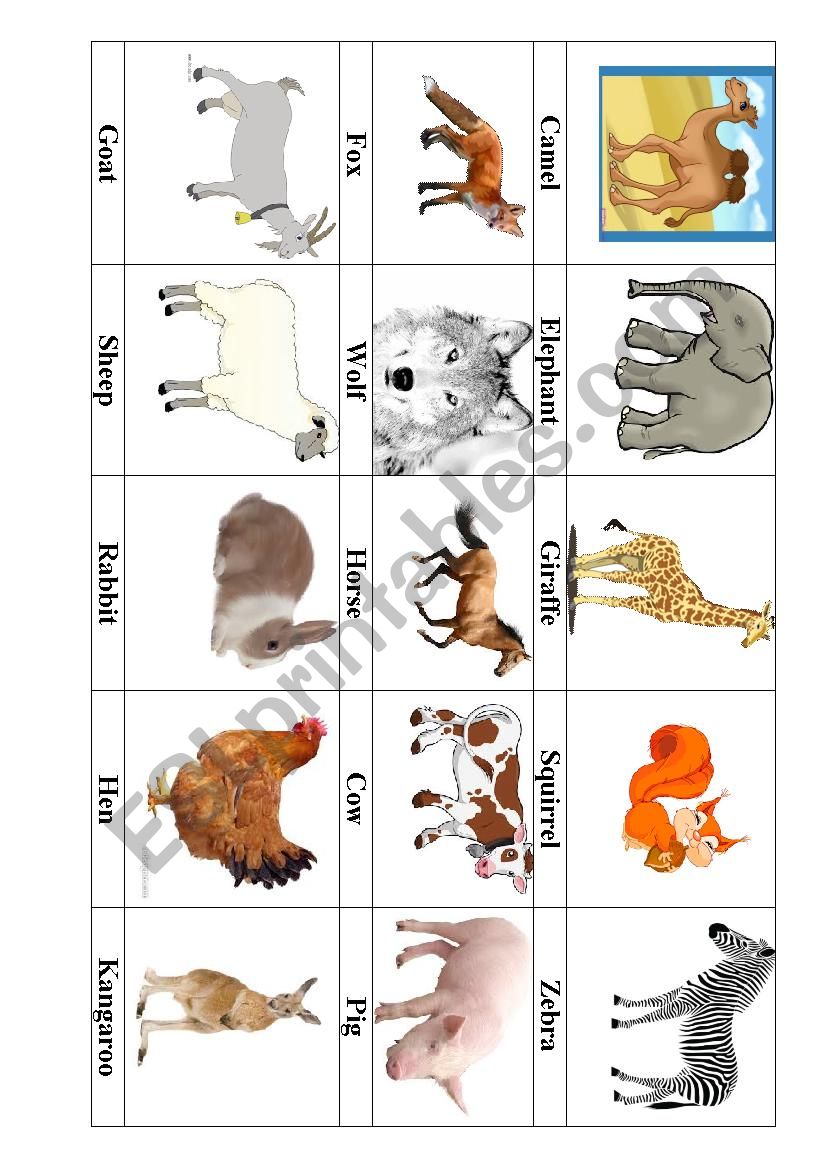 Animals worksheet