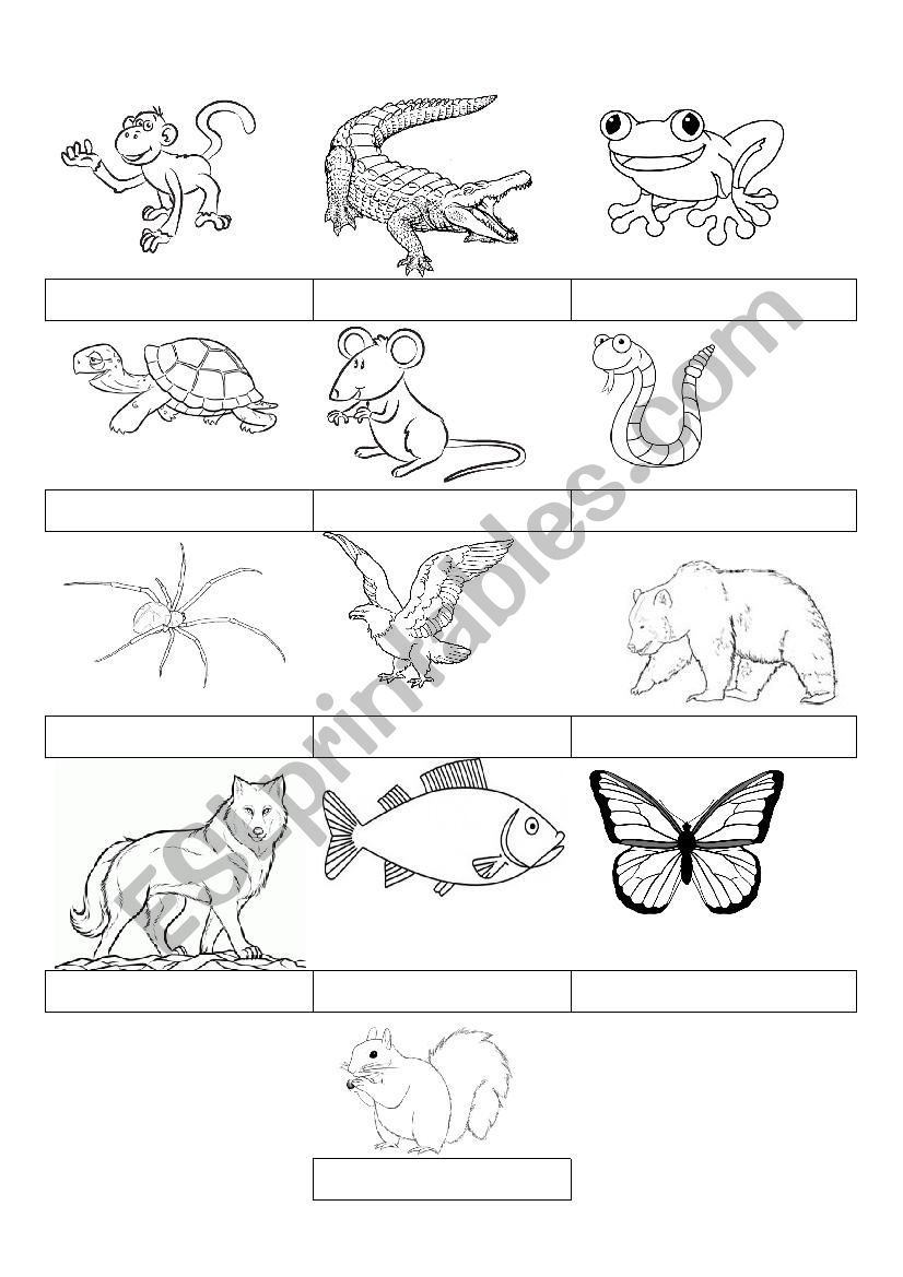 Animals 1/2 worksheet