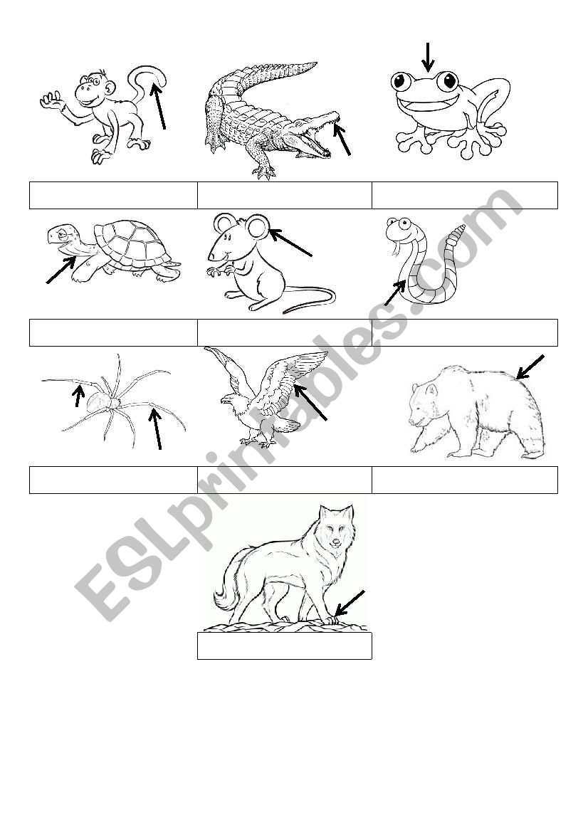 Animals 2/2 worksheet