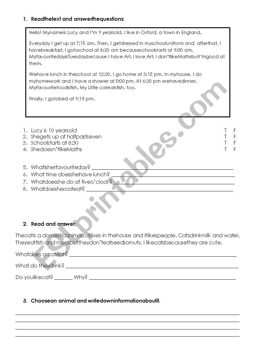 Routines worksheet