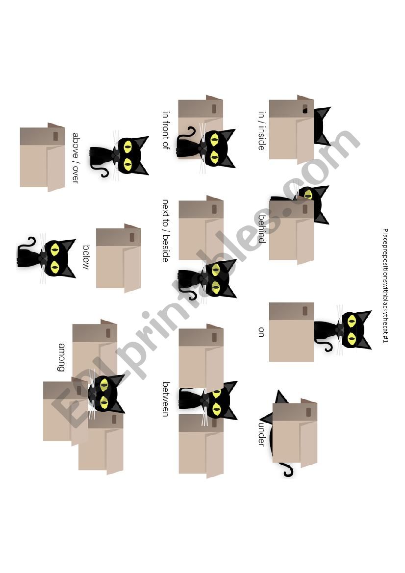 Place prepositions with Blacky the cat