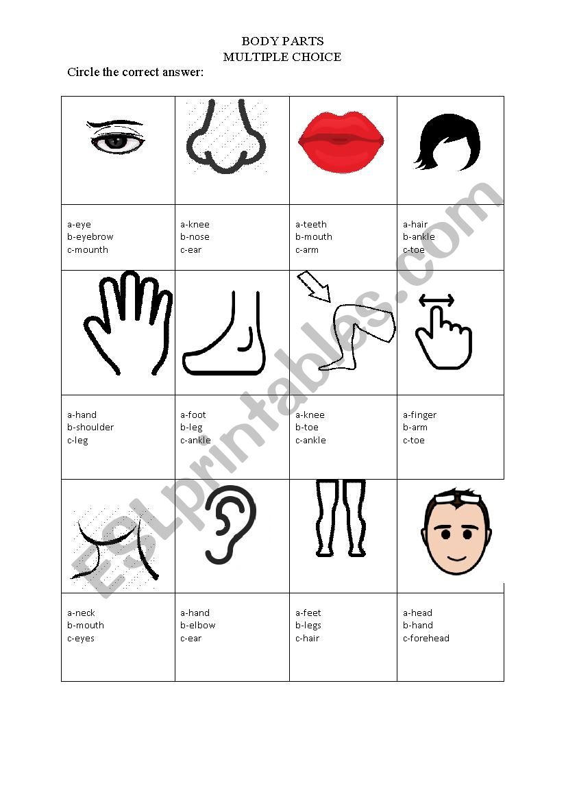 body parts multiple choice worksheet