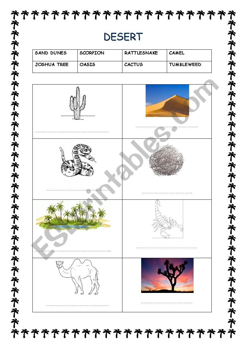 DESERT worksheet