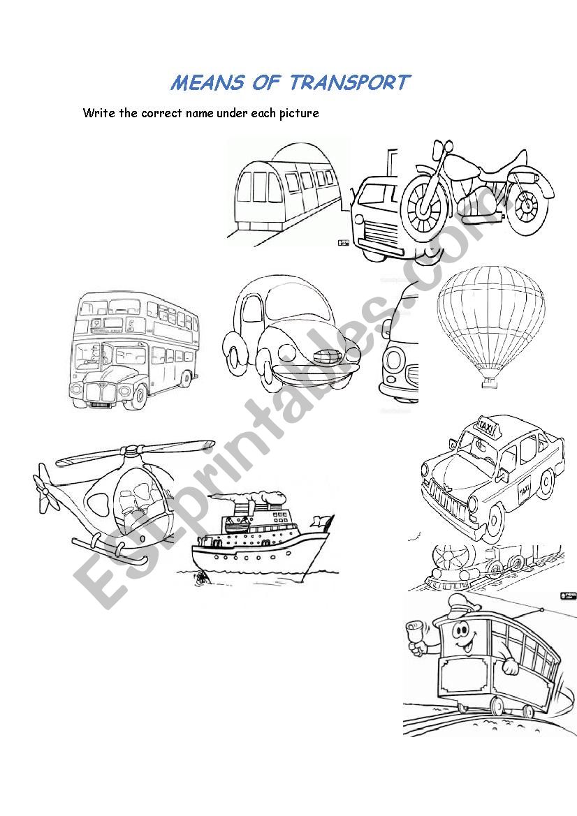 Means of transport worksheet
