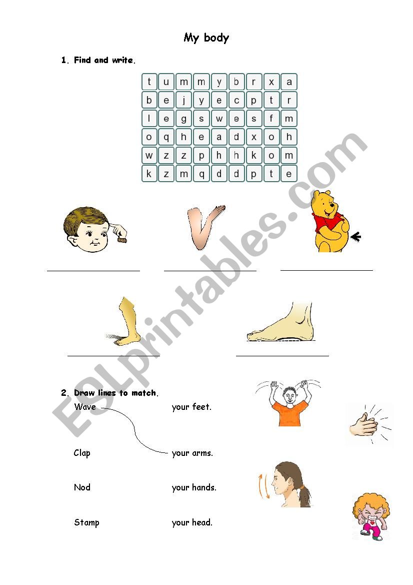 my body worksheet