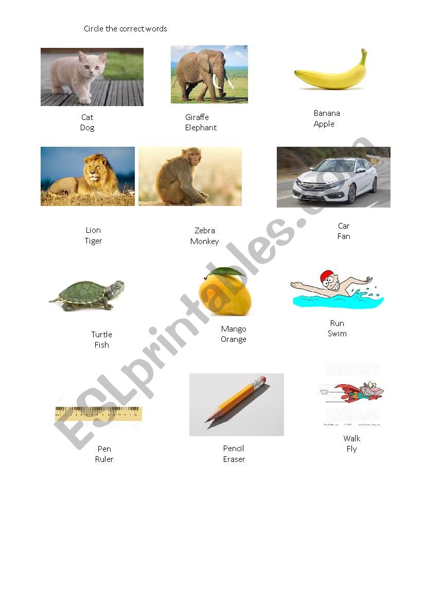 circle the correct words - ESL worksheet by nguyenthibich