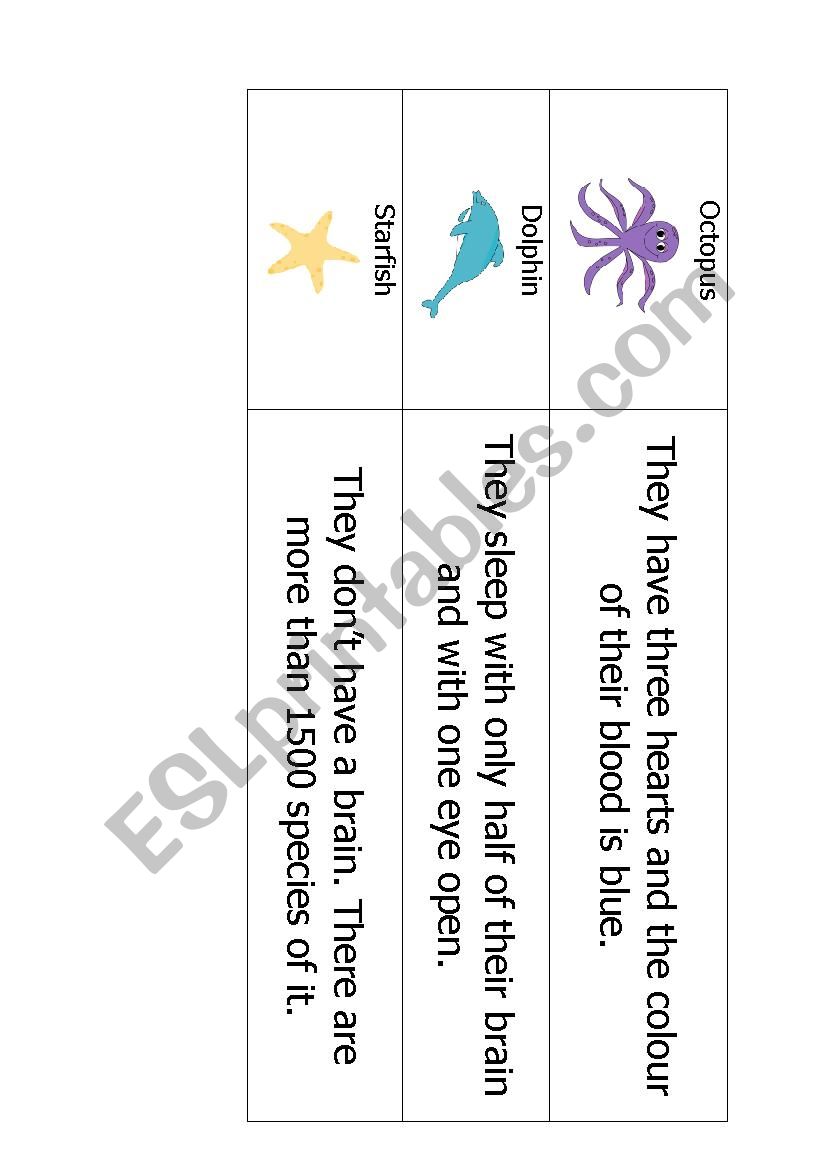 Ocean Animals worksheet