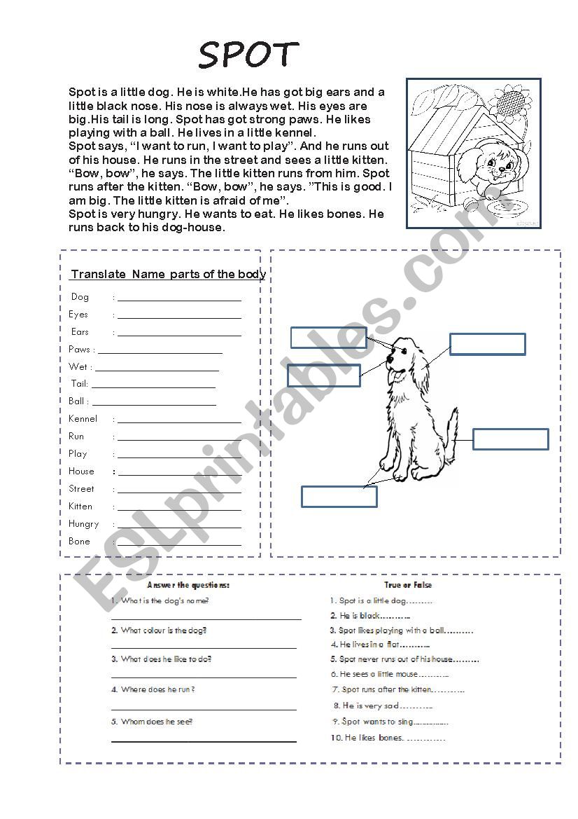 Reading comprehention  worksheet