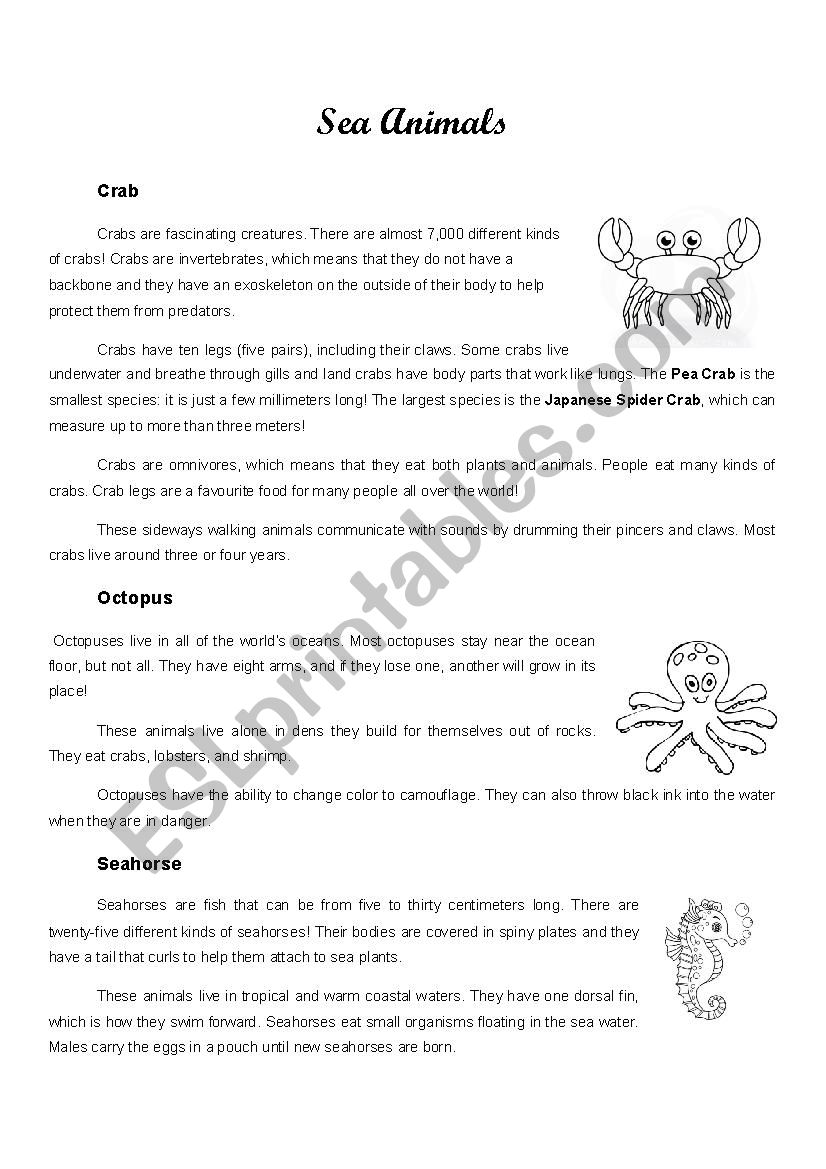 Sea Animals worksheet