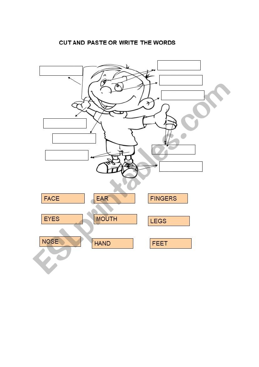 cut and paste body parts worksheet