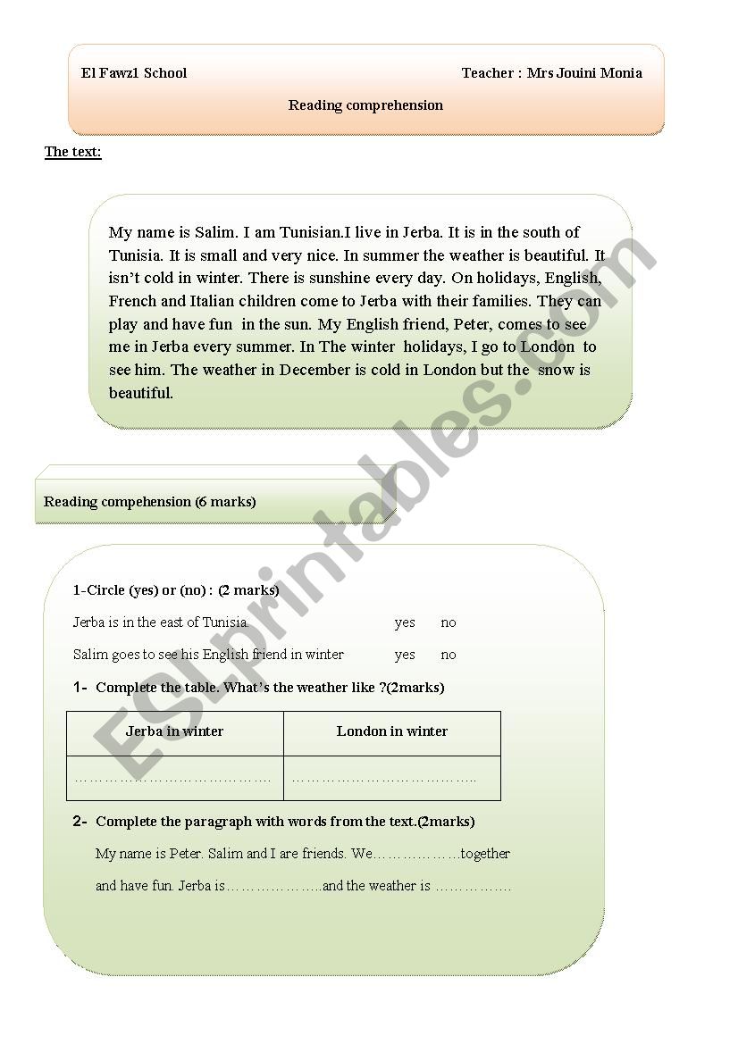 reading comprehension worksheet