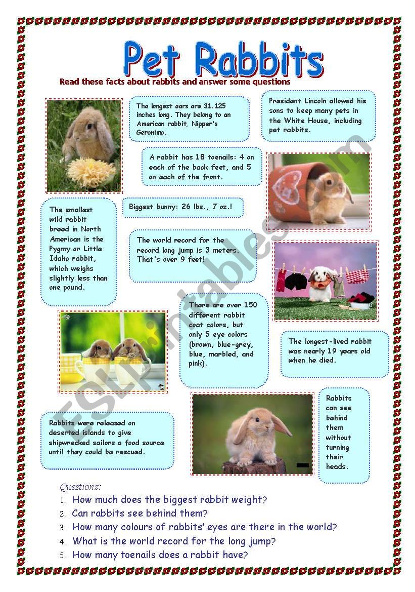 Pet Rabbits (28.07.08) worksheet