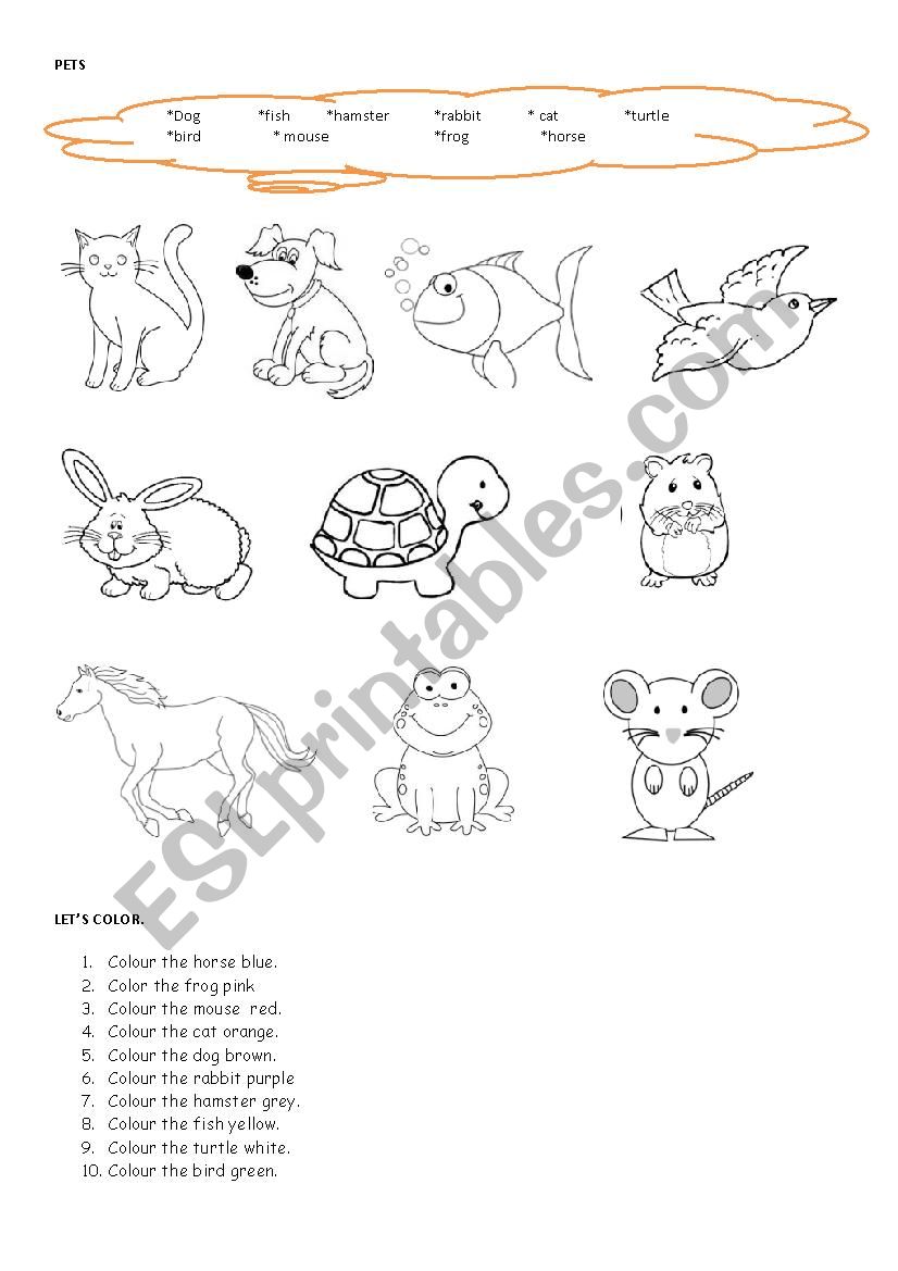 pets  worksheet