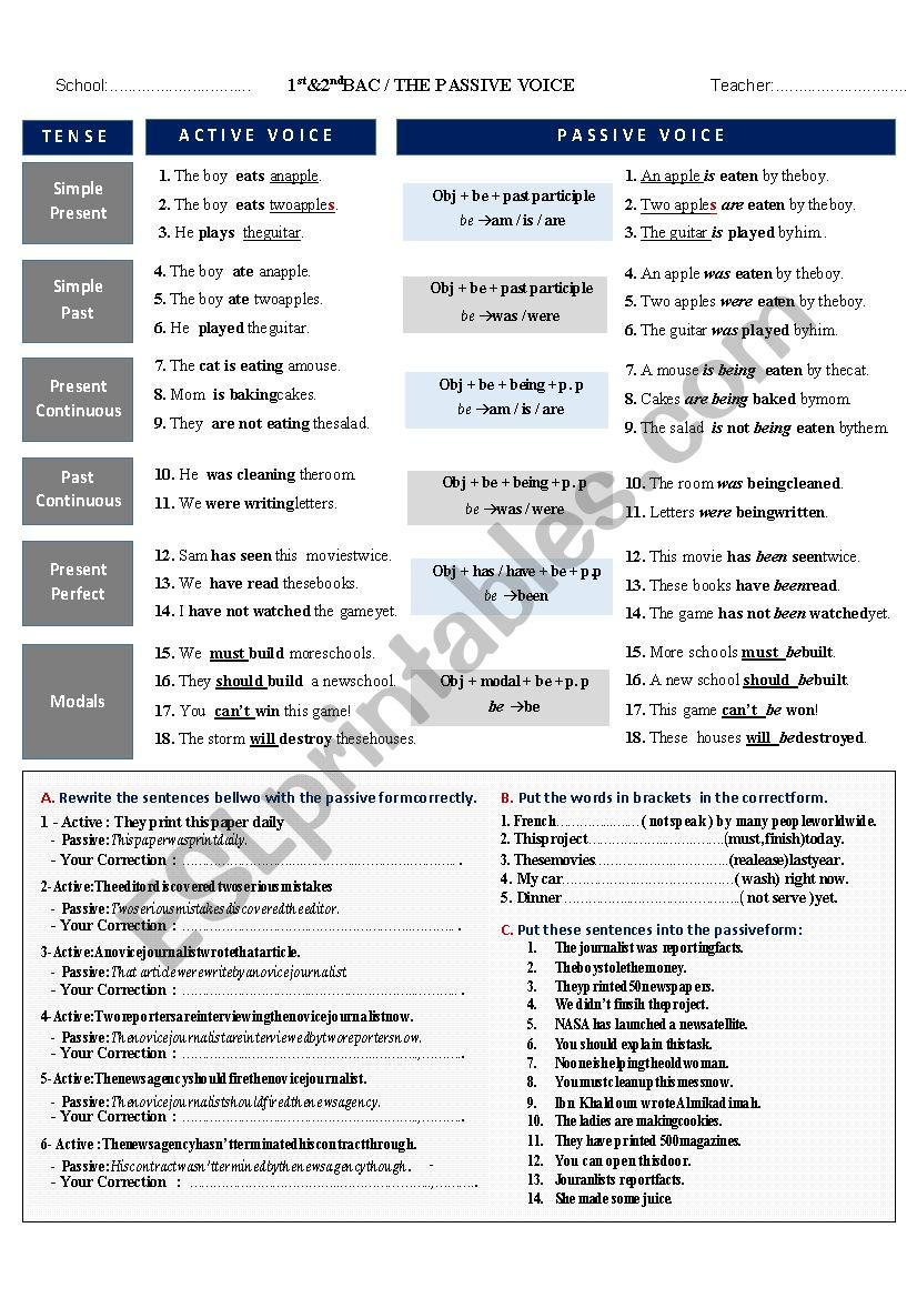 Passive Voice with Exercises worksheet