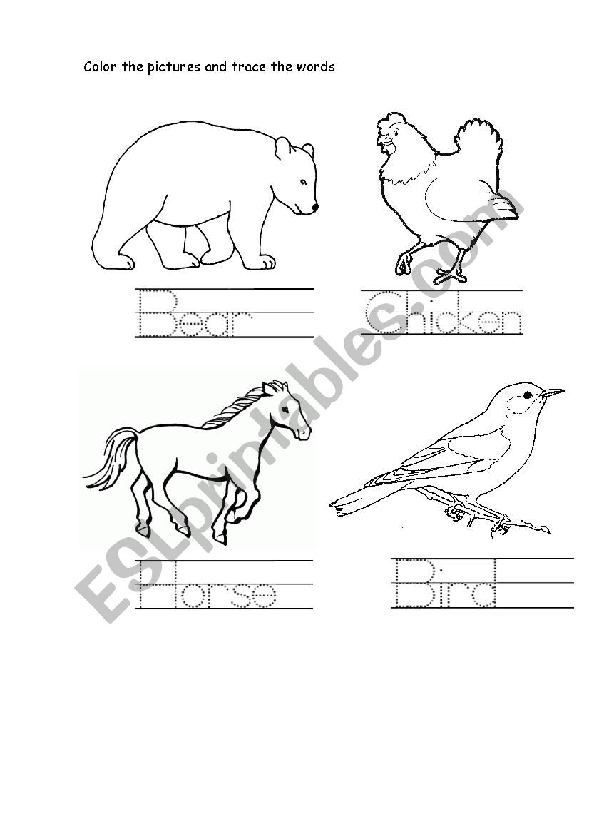 animals: bird, bear, horse, chicken color and trace